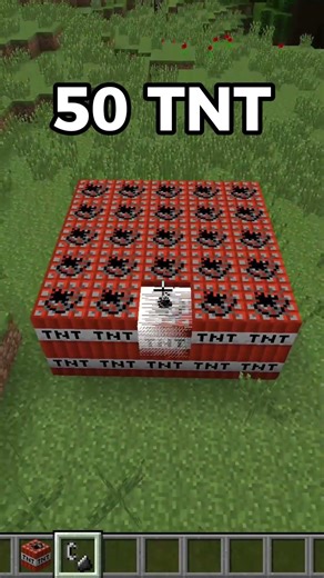 Minecraft 50 TNT Explosion Test!