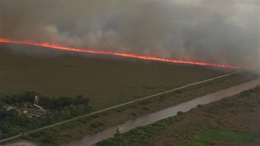 Massive brushfire breaks out in Florida's Everglades