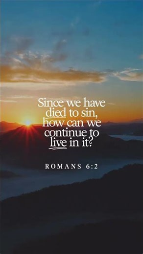 Today’s Scripture | Daily Bible Verse & Encouragement | Life Media Networks