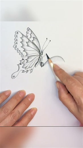The BEST Way to Draw a Butterfly and Flower Without Any Experience