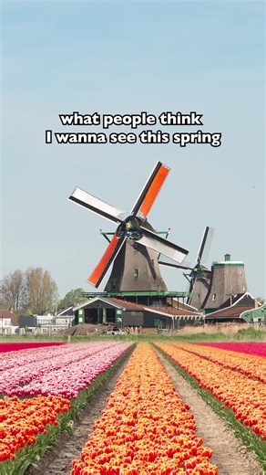 Experience the Excitement of Hong Kong Sevens 2026