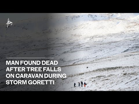 Man found dead after tree falls on caravan during Storm Goretti