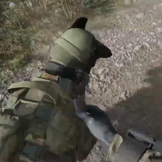 juego Call of Duty: Modern Warfare 4 ya está disponible 🐕