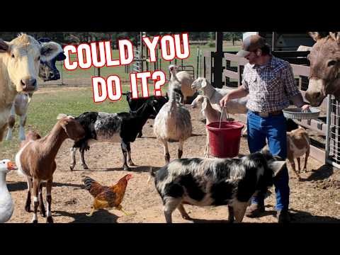 I’m All Alone To Care For Over 200 Farm Animals! (Full Morning Routine ALL On Camera)