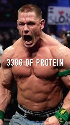 338g PROTEIN DIET
