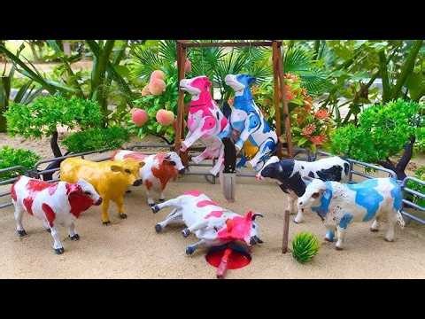 Wadidau Proses Potong Sapi Kurban, simulasi potong sapi qurban idul Adha