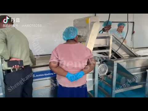 Full Chips Production Line Setup & Testing On-Site | Ready for Production#potatoprocessing