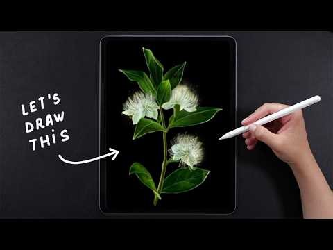 Drawing a Realistic Plant in Procreate 🌿