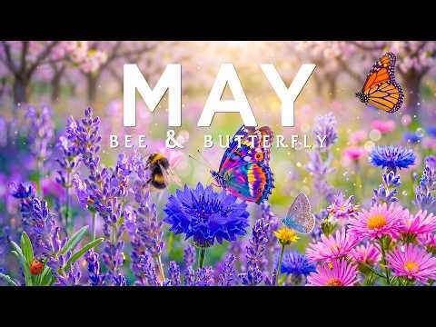 Springtime Splendor 4K | Blooming Flowers, Butterflies & Buzzing Bees 🌸 Relaxing Nature Scenery