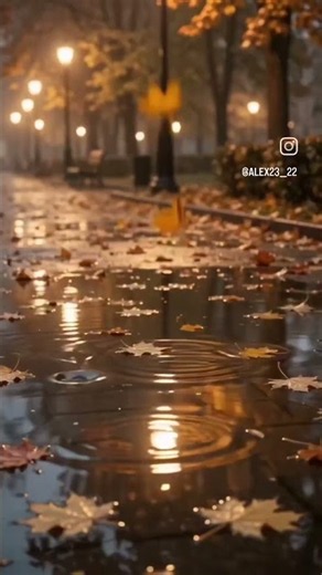 Rainy Autumn Evening 🍂🌧️ | Peaceful Autumn Scenery #autumn #cinematic #citylife