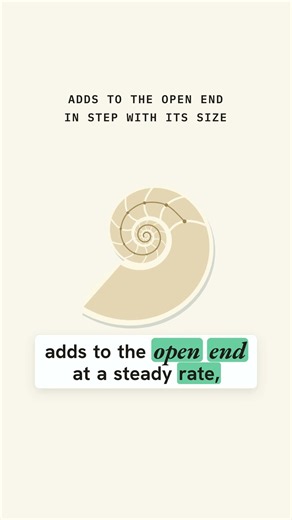 The nautilus is not a golden spiral