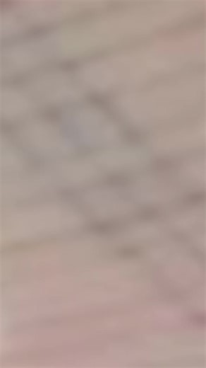 Exploring the Rich Culture of Kano, Nigeria