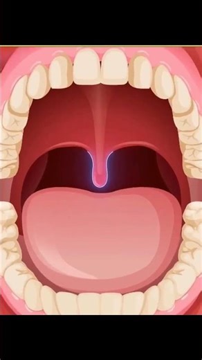 Why Do We Have a Uvula? Shocking Science Explained 👅😳
