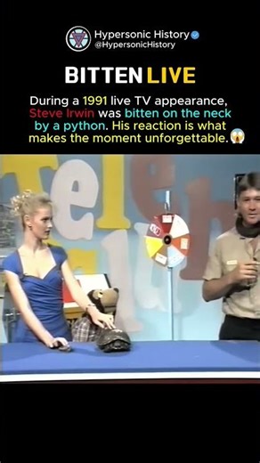 When Steve Irwin Got Bitten on Live TV 💀😱 #shorts #history