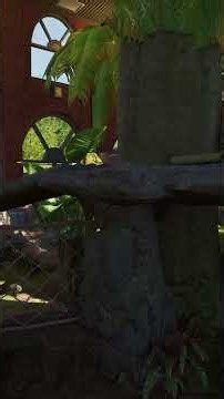Making a MULTI-Species Tropical Hous in an Old Elephant House in Planet Zoo 2