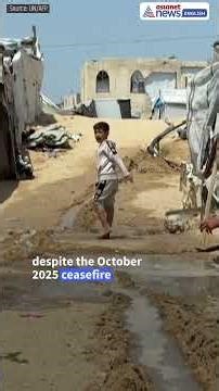 From War to Infestation: Life Inside Gaza’s Camps Gets Worse