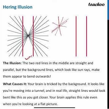 Chapter 5 Class 7 Maths - Ganita Prakash Part 1 - Topic 11 - Parallel Illusions (NCERT Question)