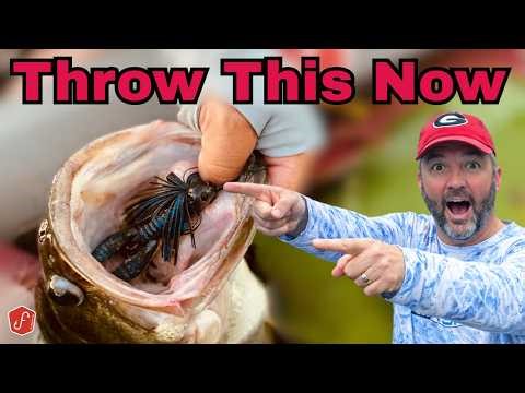 Why a Jig Catches Bigger Bass Than Anything in Spring