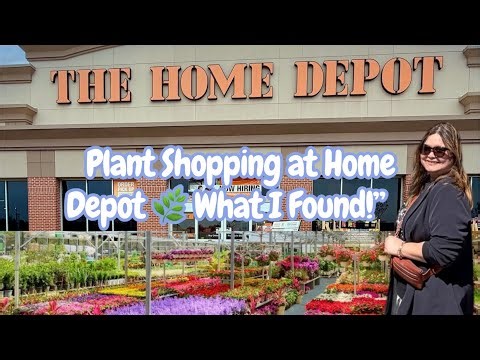 Plant Shopping at Home Depot 🌿 What I Found!”