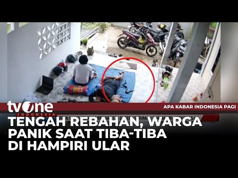 Momen Menegangkan Kemunculan Ular di Teras Rumah Warga | tvOne