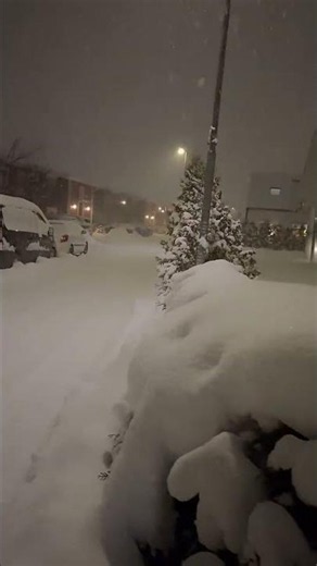 ❄️🇺🇸 POV: Snowfall in America Feels Unreal… 🤍 #Snow #Snowfall #Winter #USA #America #SnowyNight