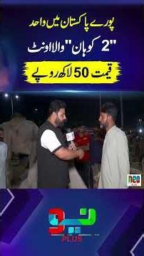 Pakistan mein 2 Kohaan wala Camel - Price 50 Lacs