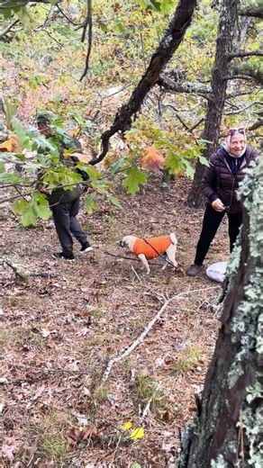Pete the Puggle's Playground Adventure: A Journey of Courage and Friendship