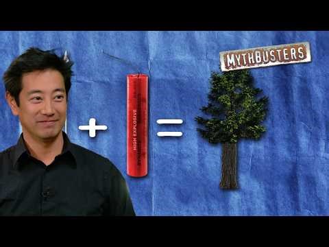 Can A Dynamite Tipped Arrow Split A Tree In Half? | MythBusters