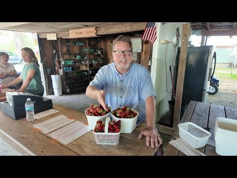 Drought creates major problems for Virginia farmers trying to save strawberry crops
