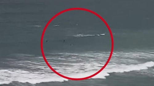 'Good luck' saved shark attack victim, lifesaving boss says