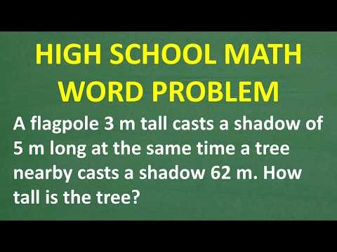 How Tall Is the Tree? Similar Triangles Word Problem Explained