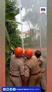 'ശ്രദ്ധിക്കണ്ടേ അമ്പാനെ...'; വിഷു ആഘോഷത്തിനിടെ പടക്കം വീണ് തെങ്ങിന് തീപിടിച്ചു|Firecracker accident