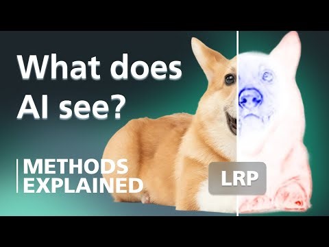 Layer-Wise Relevance Propagation: A Visual Introduction | XAI Methods Explained