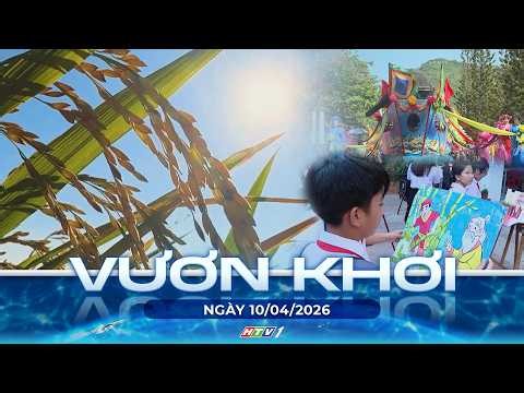 PROGRAM TO EXPLORE THE SEAS ON APRIL 10, 2026 | CHECK IN AT AN NHUT FIELD DURING THE RICE HARVEST...