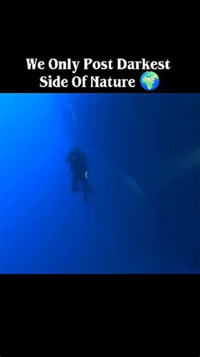 NatureAfterDark on Instagram: "Not an alien blob... but a giant squid egg mass! This drifting bubble can grow over 2 meters wide and holds thousands of baby squids inside. Rarely seen by scientists, it’s one of the ocean’s most mysterious nurseries. . . . #trendingreels #didyouknow #mindblowing #nature #forest unexplored mysterious earth viral explore facts usa ocean alienbob"