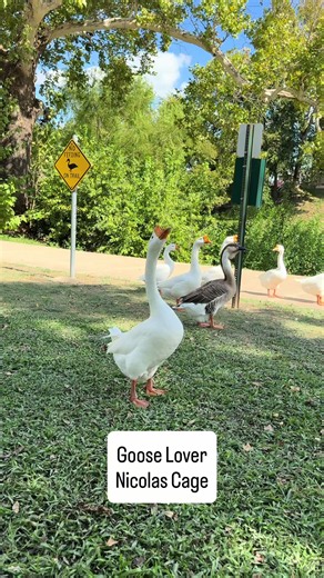 Nicolas Cage's 'Goose Lover' Scene from Clue: I Love Honkers!