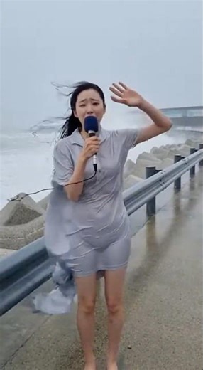 TyphoonDisaster