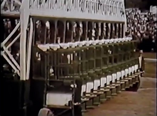 1973 Kentucky Derby - Secretariat 🐎 21 career stats, 16 wins, $1.3 Million earned, has the race record for the derby, Preakness and Belmont. One of the all-time greats in our sport!