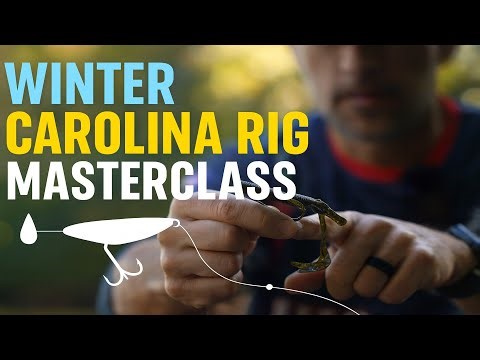 Winter Carolina Rig Masterclass | Bass Fishing