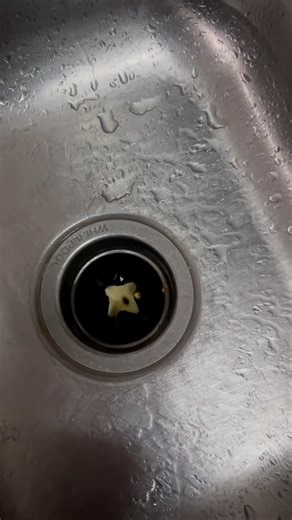 Watch Kitchen garbage disposal cleaner on Amazon Live