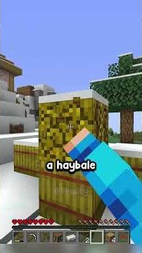 Minecraft, But Damage Is Permanent… #shorts