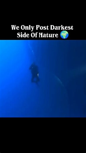 DarkEarthFiles on Instagram: "Not an alien blob... but a giant squid egg mass! This drifting bubble can grow over 2 meters wide and holds thousands of baby squids inside. Rarely seen by scientists, it’s one of the ocean’s most mysterious nurseries. . . . #trendingreels #didyouknow #mindblowing #nature #forest unexplored mysterious earth viral explore facts usa ocean alienbob"