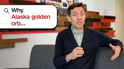 Why Alaska golden orb is trending