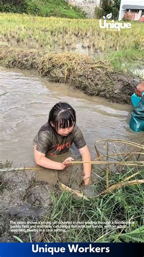 Fishing in the Mud: Little Girl Catching Fish in Rice Paddy
