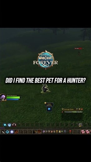 Nobody Talks About This OP Hunter Pet in WoW Forever 🔥