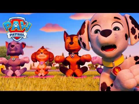 Yoga on the Mountain Goes Wrong! 🚨 Skye’s Mountain Rescue! 🚁  | Compilation | PAW Patrol