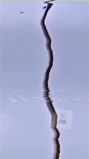 When Survival Demands the Impossible (Python vs Flying Prey) | Upper Mindset