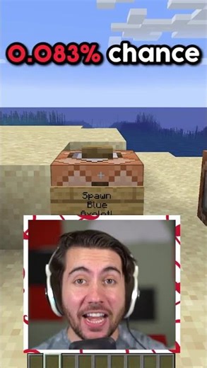 The Rarest Things In Minecraft