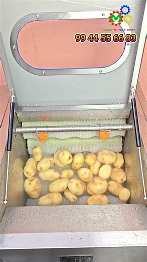 Potato Cleaning & Peeling Machine | Commercial Kitchen Machine