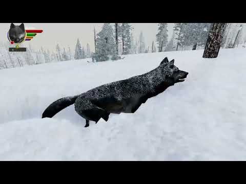 Almost To Getting Puppy's So Close